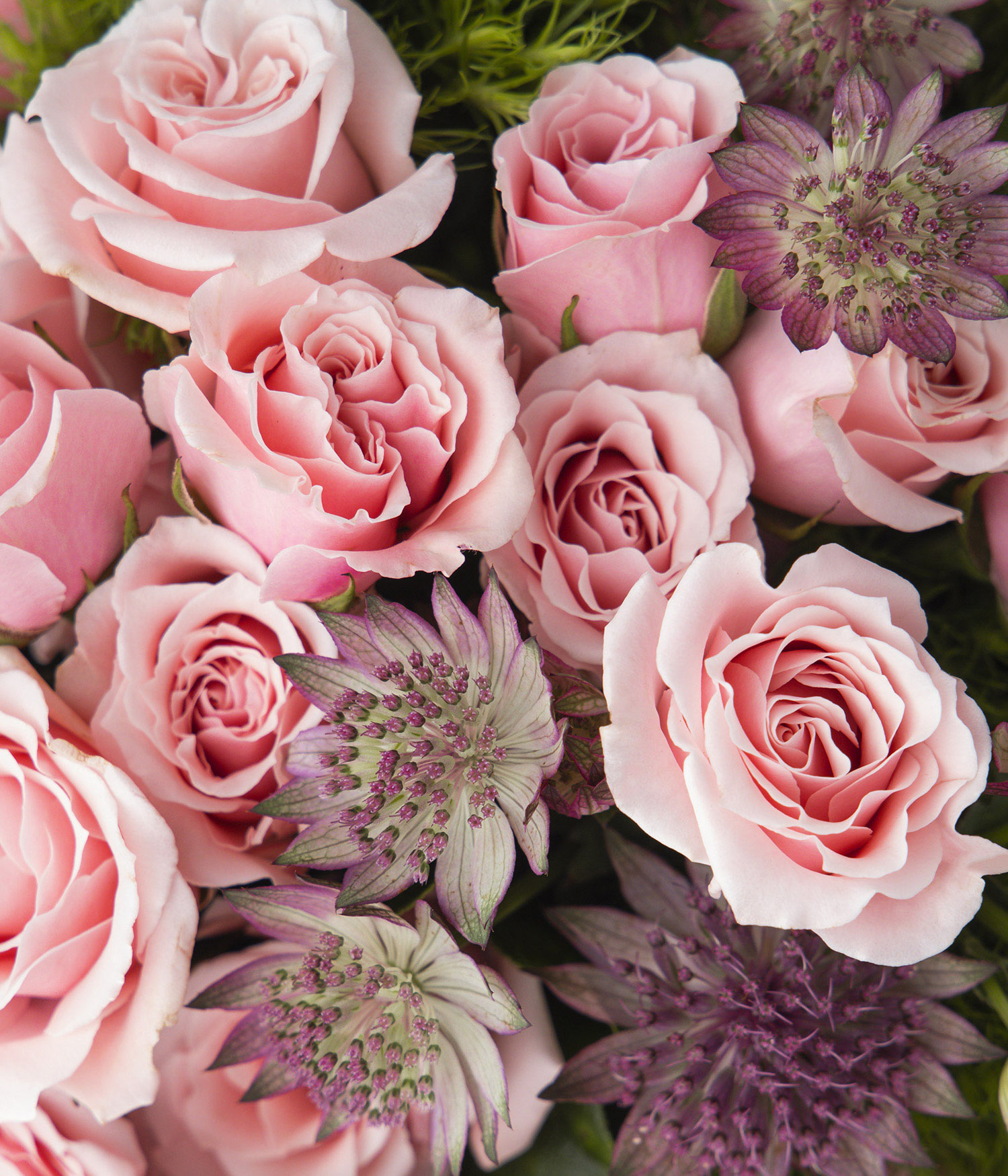 Haiku Pink Rose Flower Bouquet by flannel flowers florist
