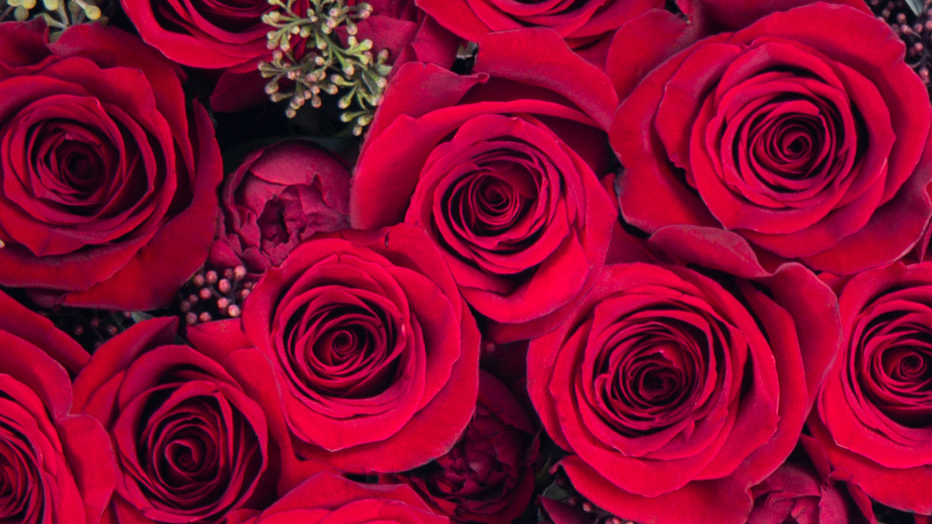 Detail image of La Vie En Rouge red rose Valentine's Day flower box by flannel flowers