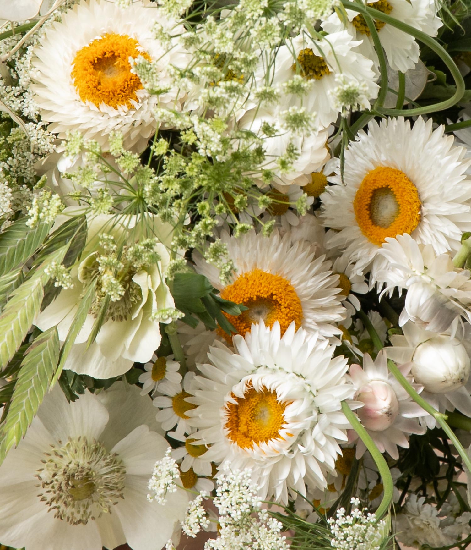 Detail of Chantilly anemone flower bouquet by flannel flowers