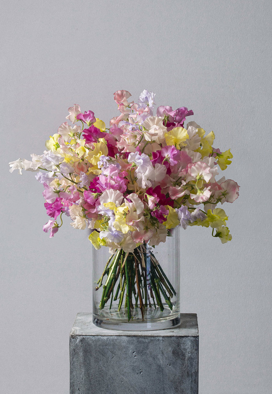  flower bouquet of valentine sweet pea by flannel flowers